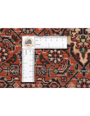 Zandjan 64x245 Cm Zandjan, Persia, Hand-carded Wool warp: