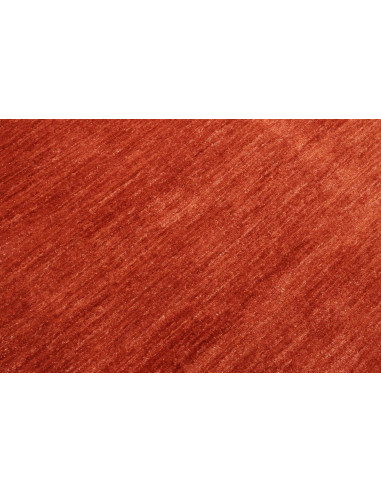 Tappeto Shayan Pakistan marrone 152x202