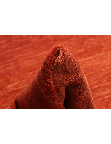 Tappeto Shayan Pakistan marrone 152x202