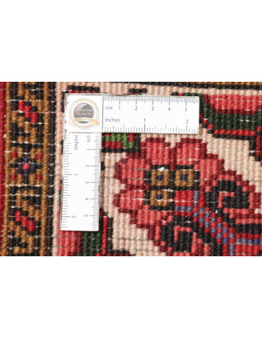 Gorawan 250x340 Cm Gorawan, Persia, Lana Cardata A Mano,