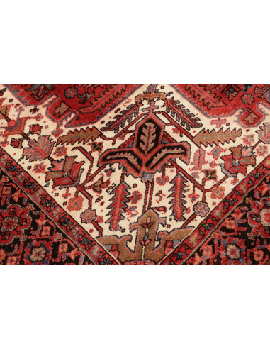 Gorawan 256x324 Cm Gorawan Persia Lana Cardata A Mano Cotone