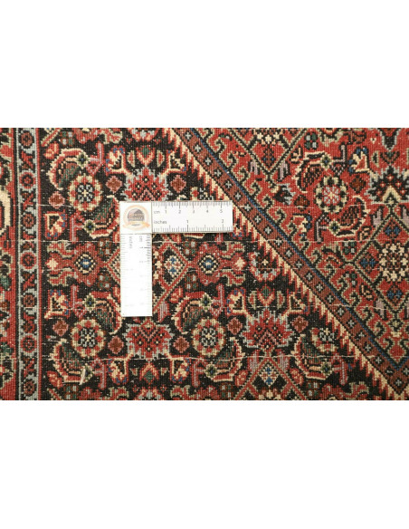 Bidjar 74x249 Cm Bidjar, Persia, Lana Cardata A Mano (ordito