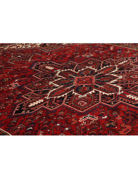 Gorawan 252x322 Cm Gorawan Persia Lana Cardata A Mano Cotone