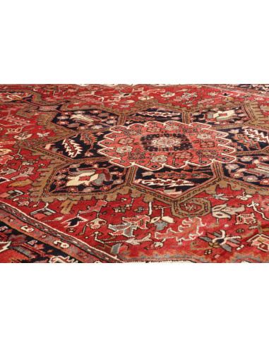 Gorawan 238x340 Cm Gorawan, Persia, Lana Cardata A Mano,