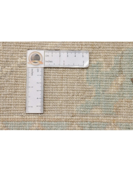 Rug Zigler Fine Pakistan 271x365 Cream Light Bl