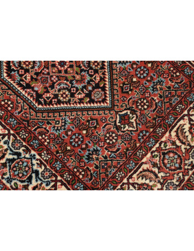 Rug Zandjan Persia brown grey 66x260