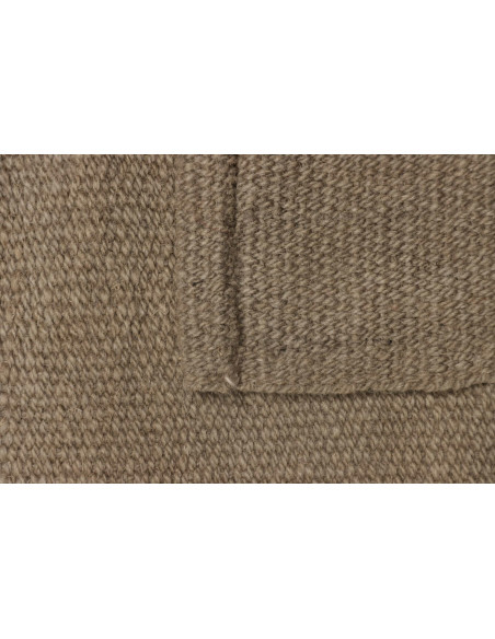 Kilim 200x295 Cm Kilim Persiano Tessitura Piana Lana Beige