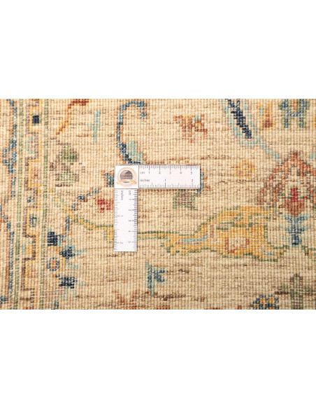 Rug Zigler Fine Pakistan 79x252 Beige Multi-col