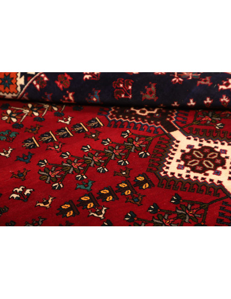 Shiraz 158x237 Cm Shiraz, Persia, Lana Cardata A Mano