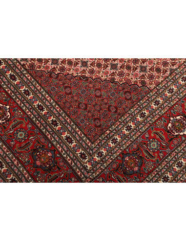 Sarab Fine 270x370 Cm Sarab Fine, Persia, Lana Cardata A