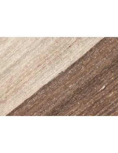 Rug Kilim Kavir Persia maroon green 63x1690