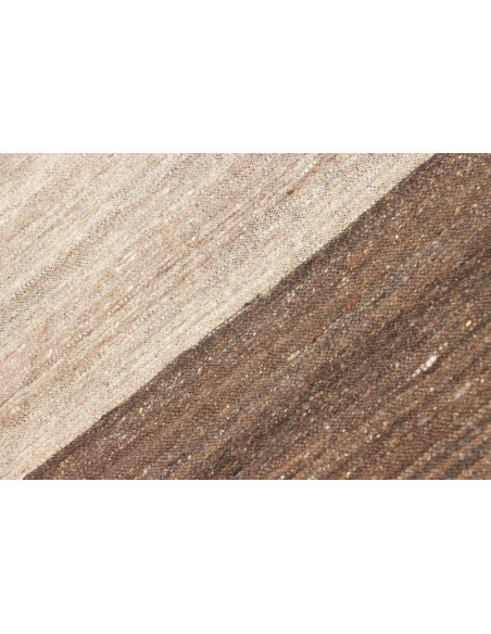 Rug Kilim Kavir Persia maroon green 63x1690