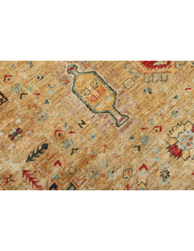 Tappeto Tribal Pakistan 253x338 Sabbia Dorata R