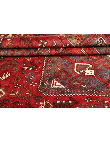Shiraz 214x302 Cm Shiraz, Persia, Lana Cardata A Mano