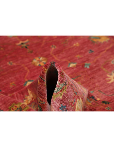 Rug Zigler Fine Pakistan 244x339 Warm Red Gold