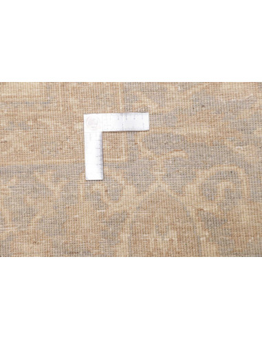Tappeto Zigler Fine Pakistan 274x360 Crema Beig