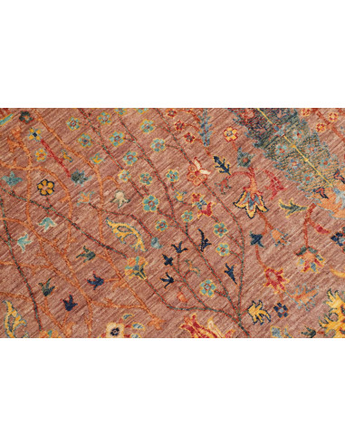 Tappeto Shahi Fine Pakistan 167x237 Terracotta