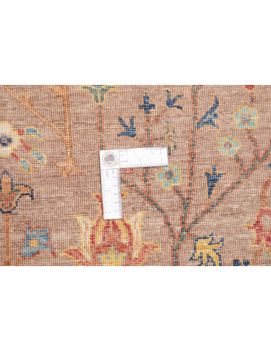 Tappeto Shahi Fine Pakistan 167x237 Terracotta