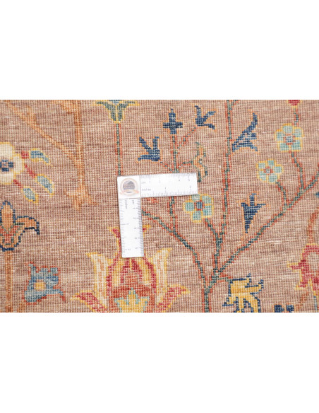 Tappeto Shahi Fine Pakistan 167x237 Terracotta