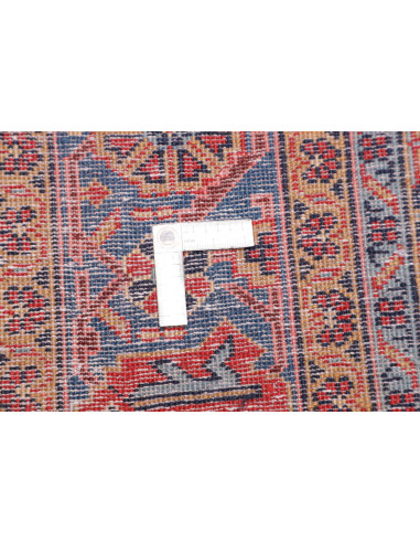 Tappeto Wiss Persia 228x335 Terracotta Blu Scur
