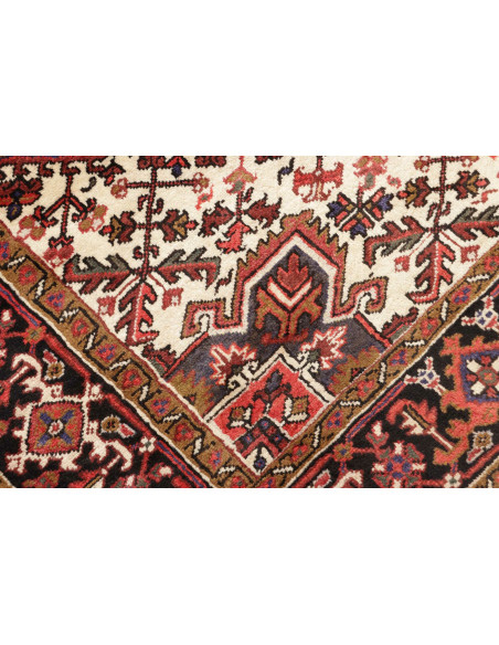Tappeto Gorawan Persia marrone beige 214x294