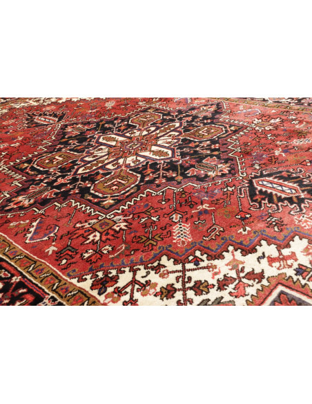 Tappeto Gorawan Persia marrone beige 214x294