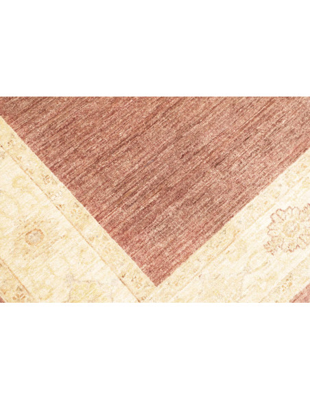 Rug Zigler Fine Pakistan 170x227 Terracotta Red