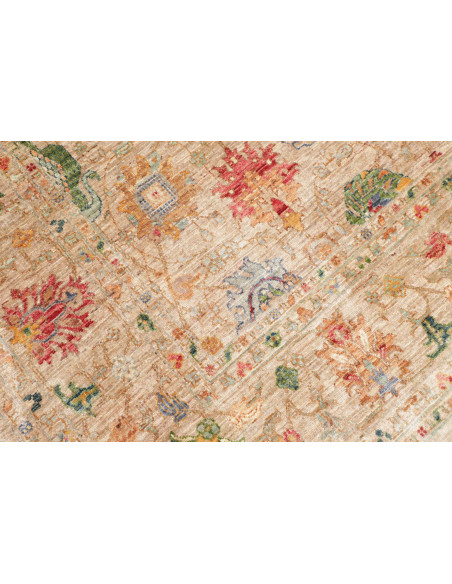 Tappeto Shahi Fine Pakistan 172x239 Beige