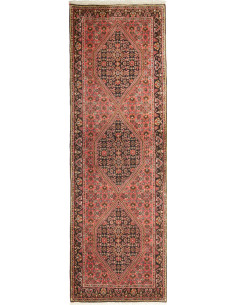 Rug Bidjar Persia brown yellow 66x208