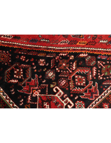 Shiraz 180x268 Cm Shiraz, Persia, Lana Cardata A Mano