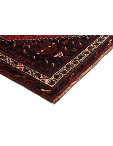 Shiraz 170x247 Cm Shiraz, Persia, Lana Cardata A Mano