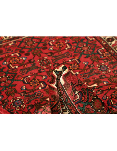 101x162 Cm Shirvan. Wool, Cotton.