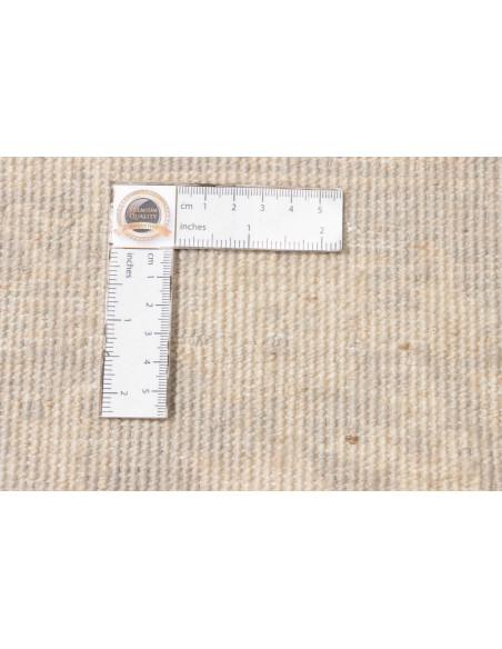 Rug Zigler Fine Pakistan 241x295 Light Greige C