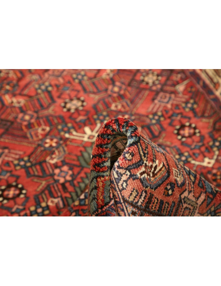 100x157 Cm Qashqai