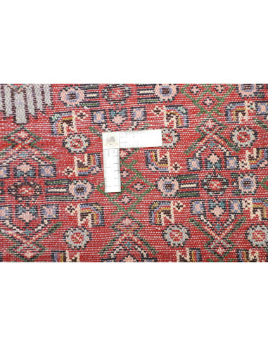 106x150 Cm Shirvan, Caucaso. Lana. 200.000 Nodi/Mq. 8 Mm.