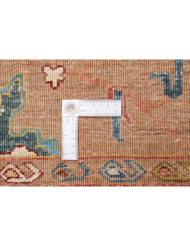 Rug Ziegler Fine Pakistan 307x428 Ochre Brown B