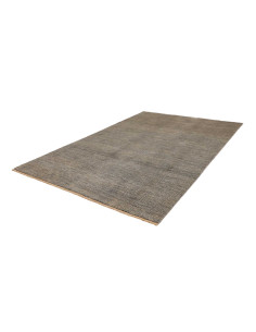 Tappeto Shayan Pakistan 205x299 Grigio Beige An 2