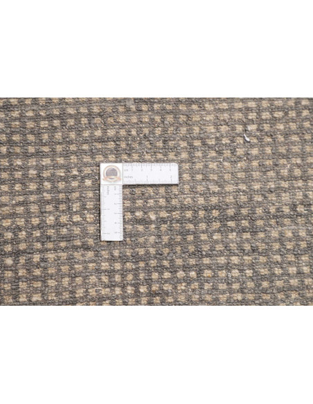 Tappeto Shayan Pakistan 205x299 Grigio Beige An