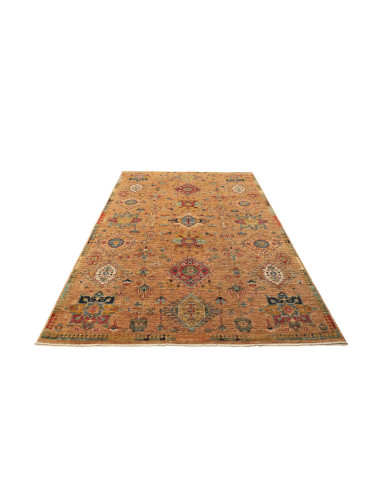 Rug Tribal Pakistan 170x240 Ochre Red