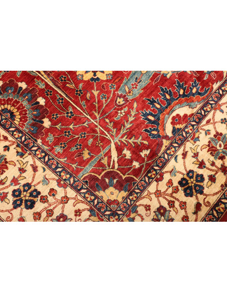 Tappeto Aryana Fine Pakistan 242x340 Rosso Crem