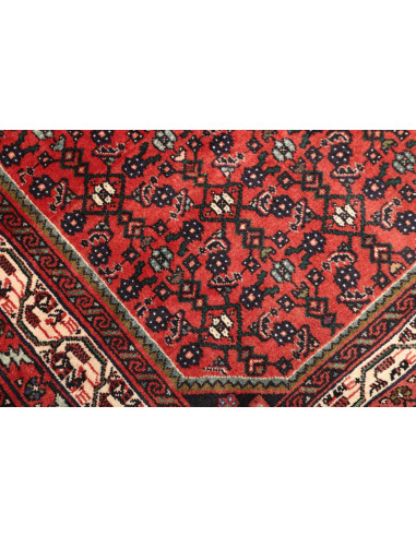 98x143 Cm Tappeto Shiraz, Iran, Lana trama: Cotone,