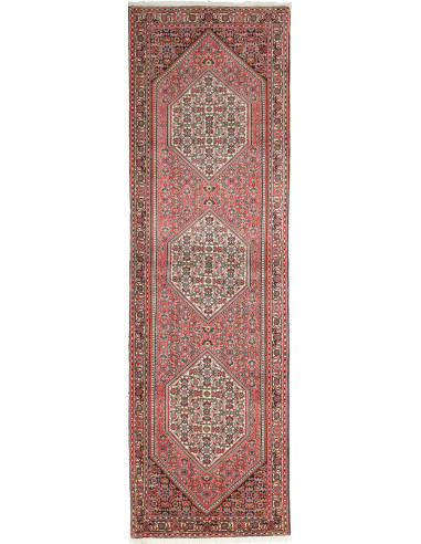 Tappeto Bidjar Persia marrone 77x267