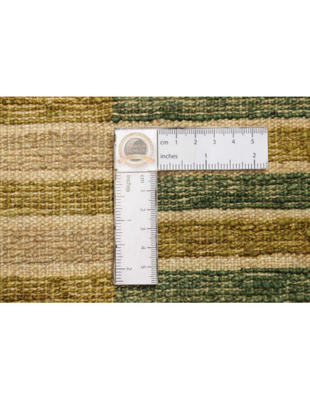 Rug Barjesta Pakistan brown green 171x243