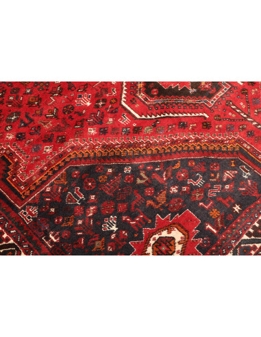 Shiraz 235x337 Cm Shiraz, Persia, Lana Cardata A Mano