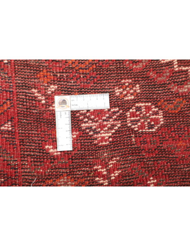 Shiraz 225x310 Cm Shiraz