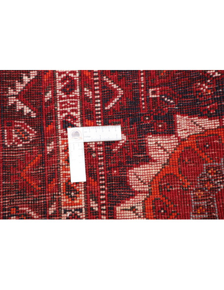 Shiraz 220x315 Cm Shiraz