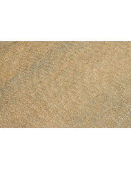 Rug Shayan Fine Pakistan maroon 199x294