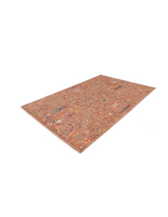 Rug Shahi Fine Pakistan 167x237 Terracotta Mult 2
