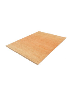 Tappeto Shayan Pakistan 155x197 Arancione Terra 2