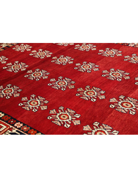 Shiraz 208x300 Cm Shiraz